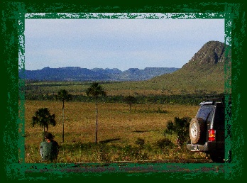 Jardim de Maytrea - Pq. Nacional da Chapada dos Veadeiros