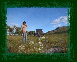 Flora da Chapada