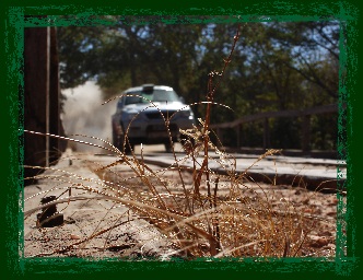Rally dos Sert�es